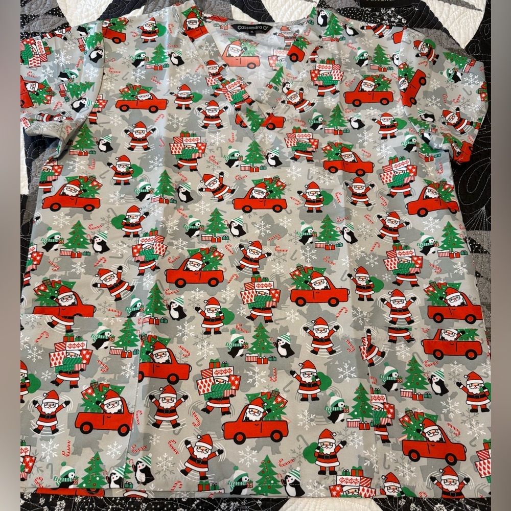 Festive Santa Print Women's Top